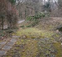 prístupová cesta ku garáži