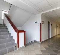 A corridor with tiles and a staircase in offices, ceiling lighting.