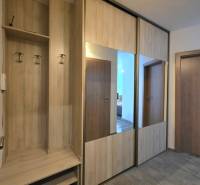 A wardrobe with a mirror and hangers in the hallway of a two-room apartment with a wooden decor floor.