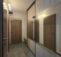 A hallway in a 2-room apartment with a large mirrored wardrobe and brown doors.