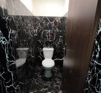 A toilet in a family house with black marble cladding and tiles.