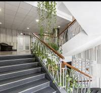 A staircase in the office with plants, a chair, and mailboxes.