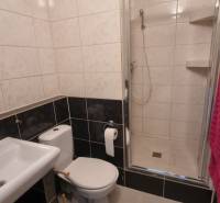 Bathroom with a sink, toilet, and shower in a studio apartment.