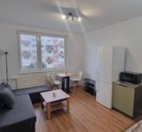 Living room of a one-room apartment with a sofa, table, and wooden decor flooring.