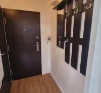Hallway with wood-patterned flooring and dark furniture, studio apartment.