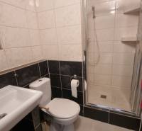 Bathroom with a shower and toilet in a studio apartment, styled in dark tones.