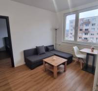 Living room in a studio apartment with a sofa, table, chair, and wood-patterned flooring.