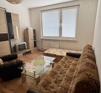 Studio apartment with wood-patterned flooring, a sofa, and a glass coffee table.