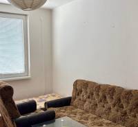 Studio apartment with a sofa, armchair, and a table, wooden decor flooring, paper lamp.