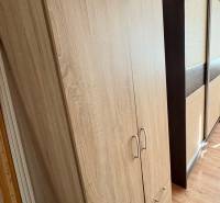 A wardrobe in a studio apartment with a wood-patterned floor and sliding doors.