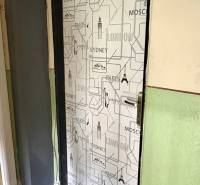 Doors covered with a city motif, floor with a wooden decor, wall in a deep green color.