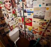 Bathroom with a toilet and walls covered with magazine clippings in a studio apartment.