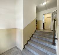 Entrance hall with staircase and access to the elevator in a 3-room apartment.