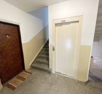 Entrance to a 3-room apartment, staircase, elevator on Matice Slovenskej in Prešov.