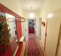 A hallway in a 3-room apartment with a wooden-patterned floor and a patterned carpet.