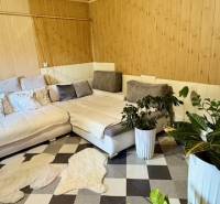 Interior of a family house with a corner sofa, plants, and patterned flooring with a wooden decor.