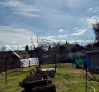 A garden with mowed lawn and wood in the area of a family house in Mýtne Ludany.