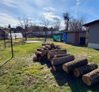 The courtyard of a family house in Mýtne Ludany with a stack of wood and fencing.