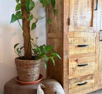 A flowerpot with a climbing plant on a brown-gray ottoman next to a wooden cabinet.