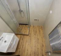 Bathroom in a 3-room apartment with a wooden decor floor, a shower corner, and a sink.
