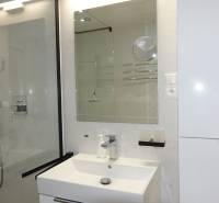 A bathroom in a 3-room apartment with a sink, mirror, and shower corner.