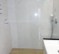 Shower enclosure with glass and floor with wood decor in a 3-room apartment.