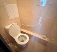Bathroom in a 3-room apartment with a toilet and cleaning products.