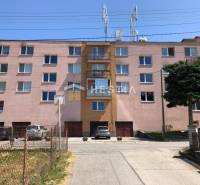 An apartment building in Moravské Lieskové with parking and the presence of a large tree in the foreground.
