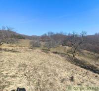 Terraced gardens around Nová Baňa with bare trees and a blue sky.