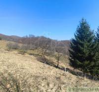 Rolling landscape in the Gardens near Nová Baňa with grassy areas and trees.