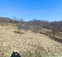 Hilly landscape in the Gardens in Nová Baňa with sparse trees and a blue sky.