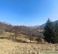 The natural landscape around Nová Baňa with trees and hills in Záhrady.