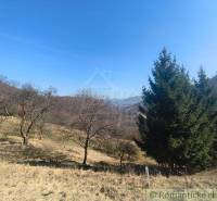 Gardens in Nová Baňa with deciduous and coniferous trees on sloping terrain under a blue sky.