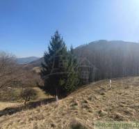 A landscape with trees and hills around Nová Baňa in the gardens.