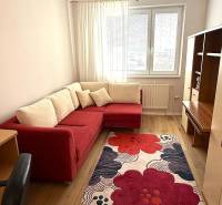 A room in a 3-room apartment with a red sofa, carpet, and a floor with a wooden decor.