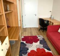 A room in a 3-room apartment with a wood-patterned floor, a red carpet, and a desk.