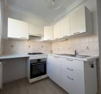 A kitchen in a studio apartment with white cabinets, a cooktop, and a wooden decor floor.