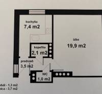 Floor plan of a one-room apartment with a kitchen, bathroom, toilet, and hallway.