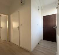 A hallway with a wooden decor floor in a studio apartment.