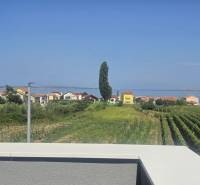 View from the Villa in Zukve, Vrsi to the sea, houses, and vineyards in the background.
