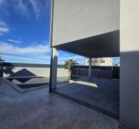 Villa on Zukve Street, Vrsi, with a terrace and a pool surrounded by palm trees.