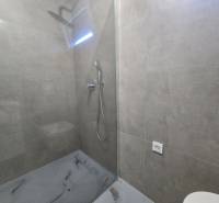 Shower enclosure with a transparent screen and gray tiles in the Villa.