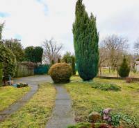 The garden of a family house on Kalinčiak Street in Michalovce with a walkway and trees.