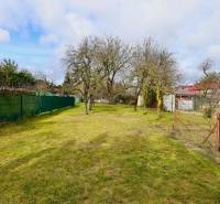 A garden in a family house on Kalinčiakova Street in Michalovce with a lawn and trees.