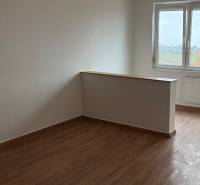 A room in a 2-room apartment with a wooden decor floor and a view from the window.