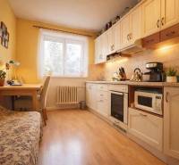 Sale One bedroom apartment, One bedroom apartment, Pribinove sady, Ila