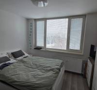 Bedroom with a double bed, large windows, and a wood-patterned floor in a 3-room apartment.