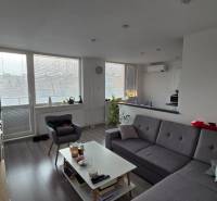 Living room of a 3-room apartment with a sofa, coffee table, and wooden decor flooring.