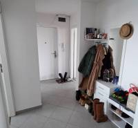 A hallway in a 3-room apartment with tiles, a shoe cabinet, a mirror, and a coat rack.