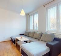 Living room of a three-room apartment with a sofa and wood-patterned flooring.